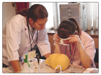 スクールの風景